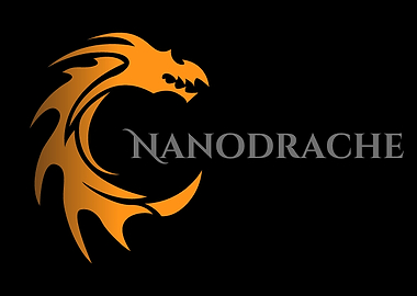 Nanodrache Logo Black