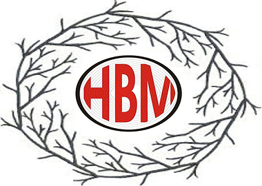 HOLY BIBLE MISSION HBM PAK