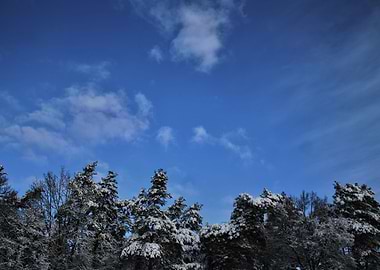 Beautiful winter day