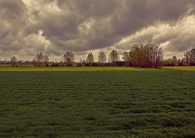 scenic field with cloudy