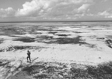 Zanzibar Low Tide