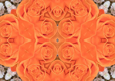 creative roses bouquet