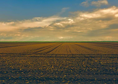 cultivated field and cloud