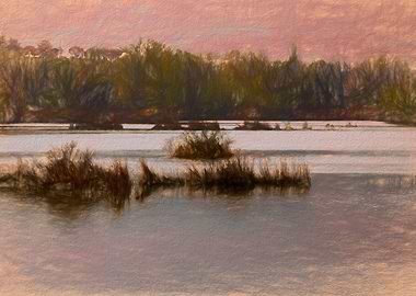 color and reflection