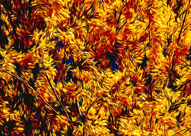 abstract flame background