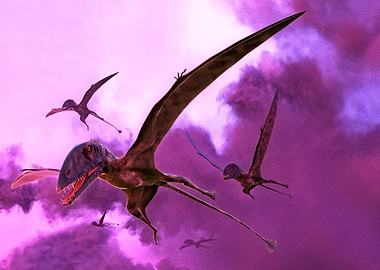 Dimorphodons Flying