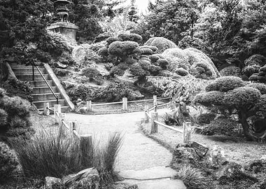 Which Way Do You Choose