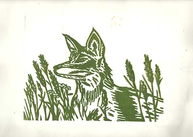 Esperando entre la hierba