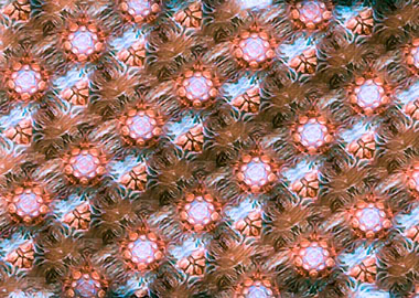 creative design pattern