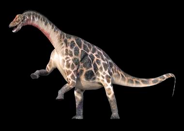 Dicraeosaurus Dinosaur