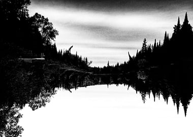 Wilderness Silhouette