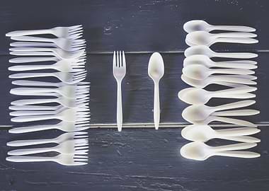 fork and spoon