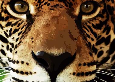 ona pintada do amazonas