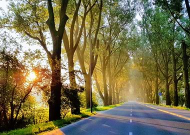 Sunrise on misty morning