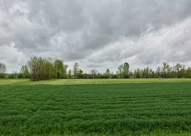 scenic field with cloudy