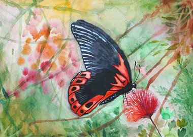 Red Butterfly