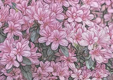 abstract azalea