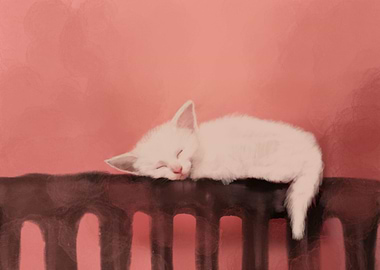 Sweet dreams kitten
