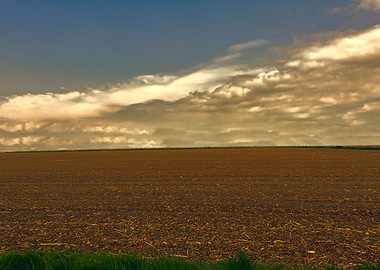 cultivated field and cloud