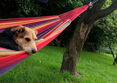 My Best Friend on hammock