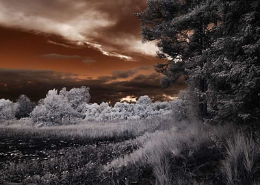 Infrared sky