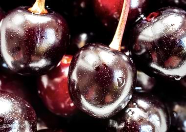Dieting with wild cherries