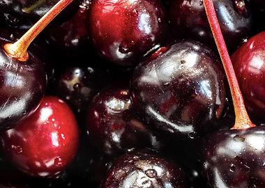 Summer fruit wild cherrie