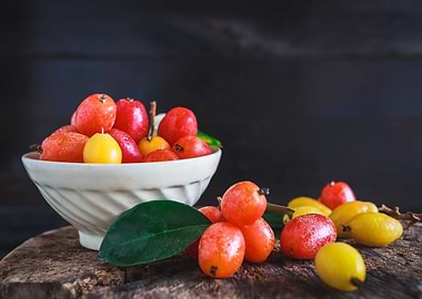 Elaeagnus Latifolia Fruits