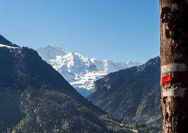 Swiss Alps behind mountain