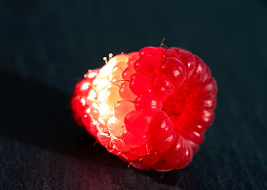 Disco raspberry