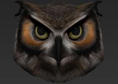Owl Metallic