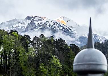 Swiss Alps behind forest