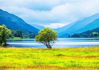 Looking towards Loch Voil