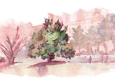 Sketches from Paris 12