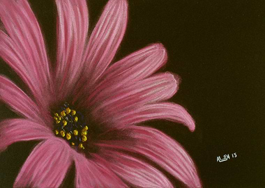 Fade To Black 1 - Pink