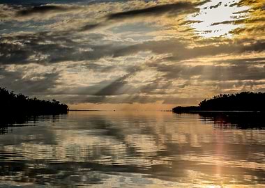 Sun burns through the mist