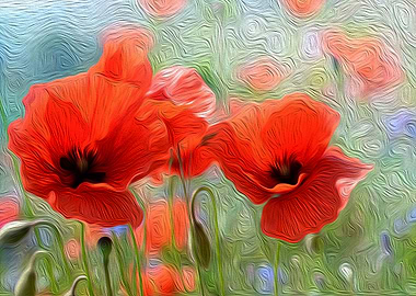 Poppies in Meadow