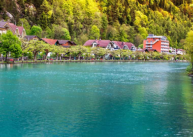Lake Thun Interlaken