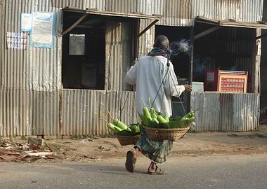 winter morning in bangla