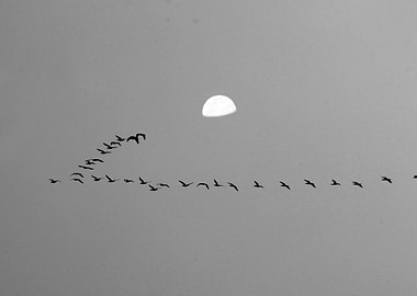 the tale of space travelli