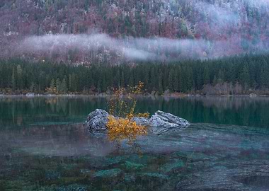 Misty Lake