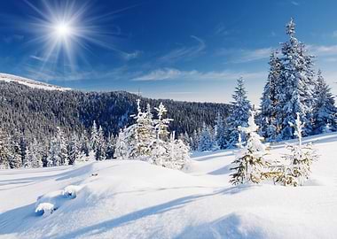 winter landscape