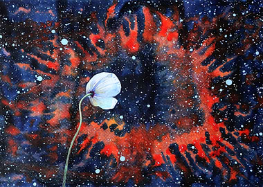 White poppy and nebula
