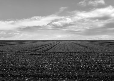 cultivated field and cloud