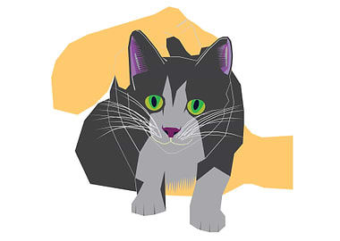 Cat All I Need Is Love