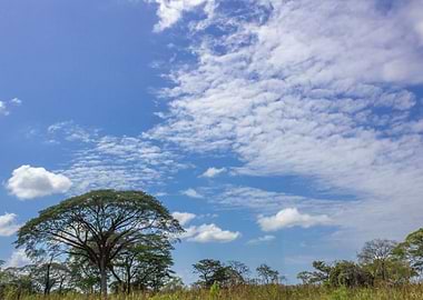 landscape in Venezuela