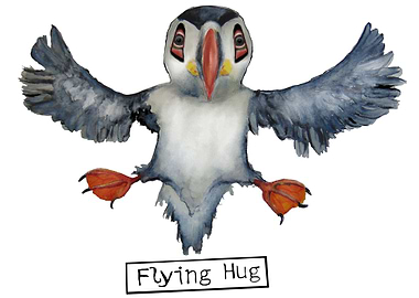 Flying Hug
