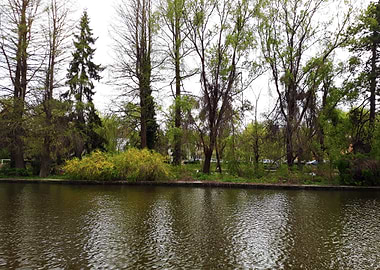 The silence of the lake