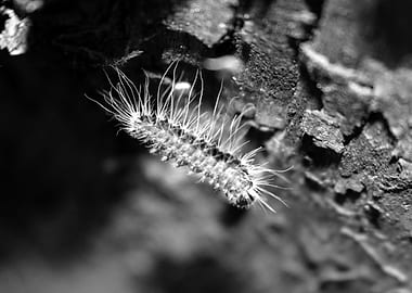 flying through the air