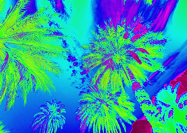 Vibrant Palm trees